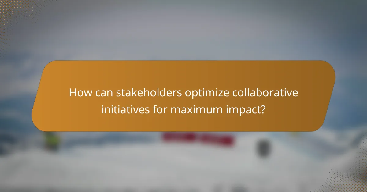 How can stakeholders optimize collaborative initiatives for maximum impact?