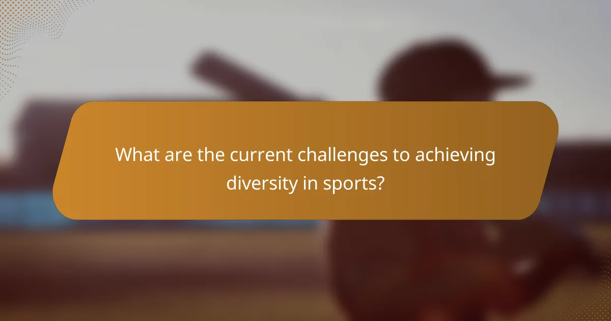 What are the current challenges to achieving diversity in sports?