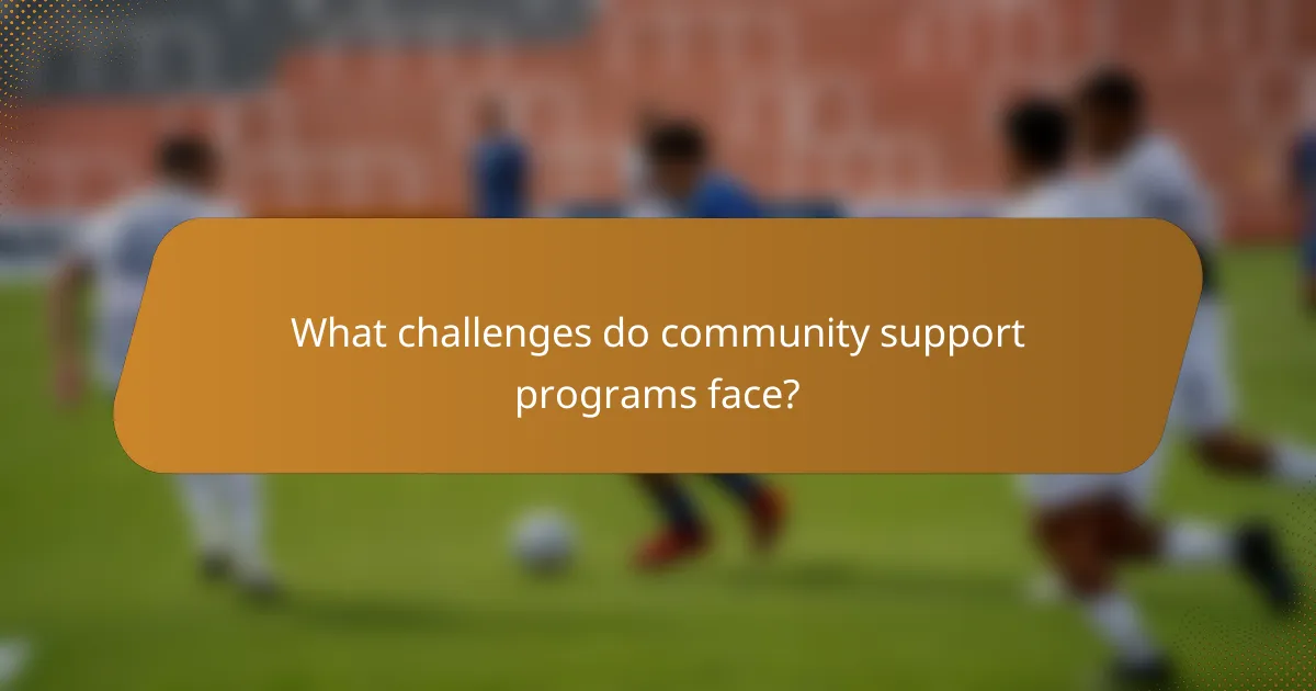 What challenges do community support programs face?