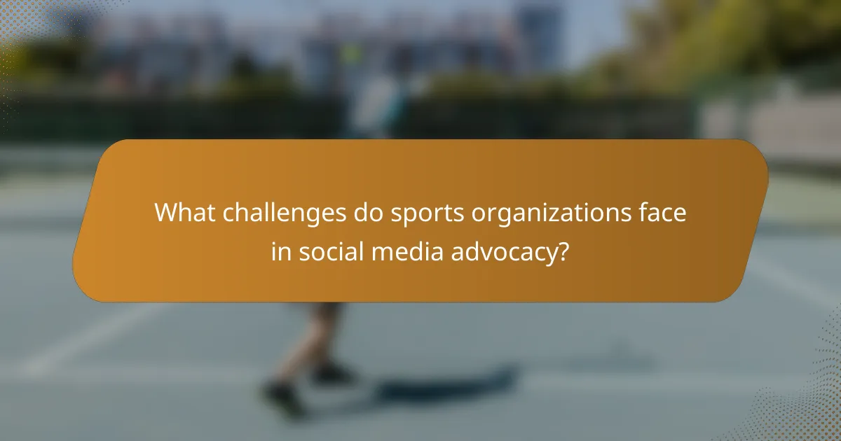 What challenges do sports organizations face in social media advocacy?