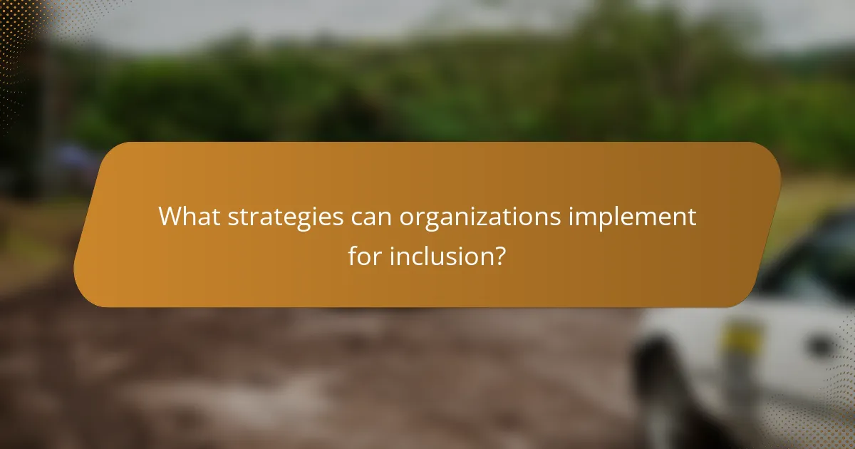 What strategies can organizations implement for inclusion?
