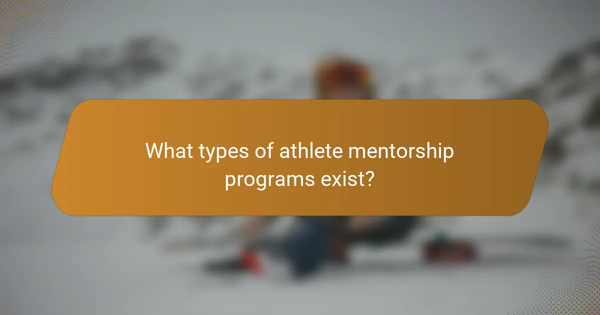 What types of athlete mentorship programs exist?