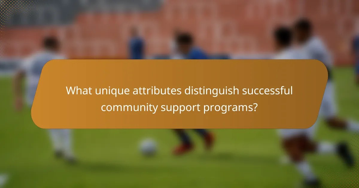 What unique attributes distinguish successful community support programs?