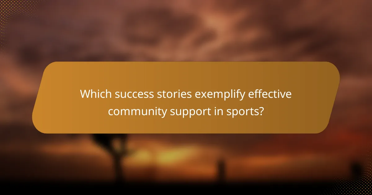 Which success stories exemplify effective community support in sports?