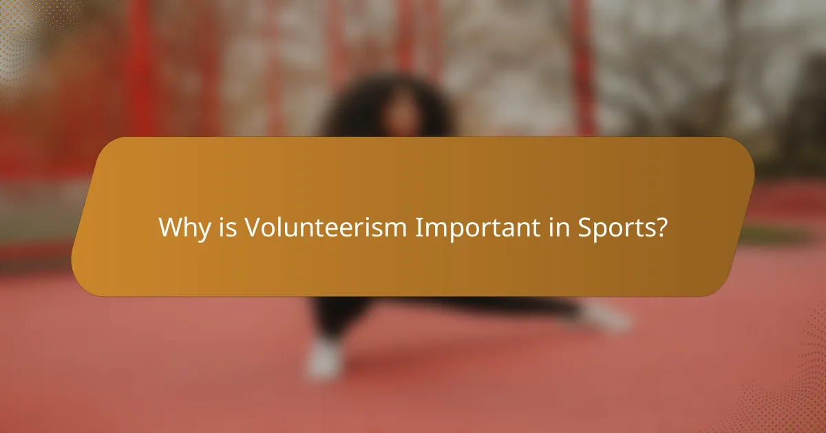 Why is Volunteerism Important in Sports?